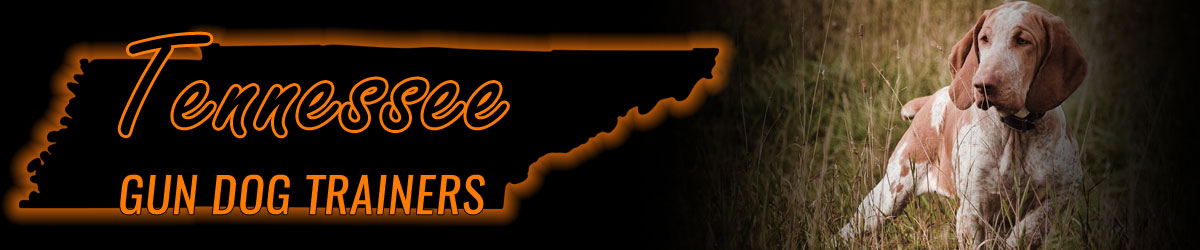 Tennessee Gun Dog Trainers banner